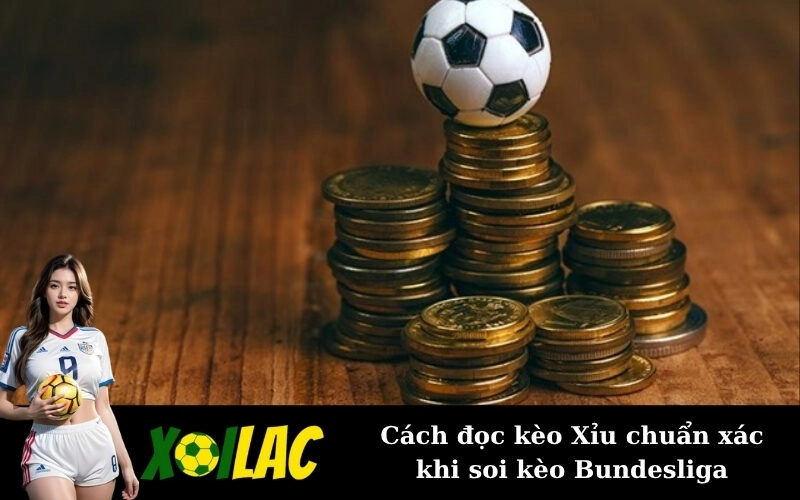 Cách đọc kèo Xỉu chuẩn xác khi soi kèo Bundesliga