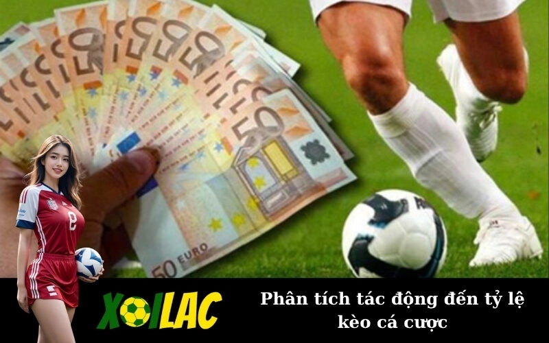 Phân tích tác động đến tỷ lệ kèo cá cược